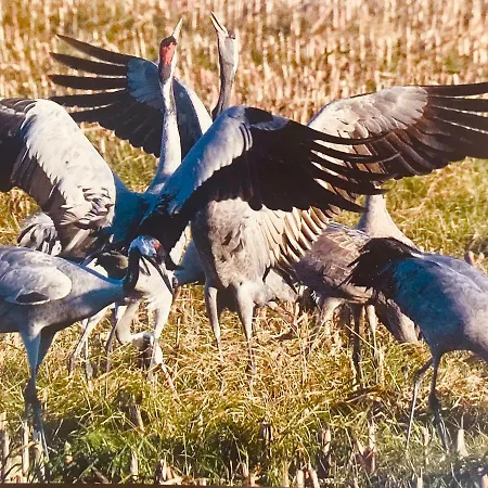 Matrosenlogis By Strandgut Ferienhaus